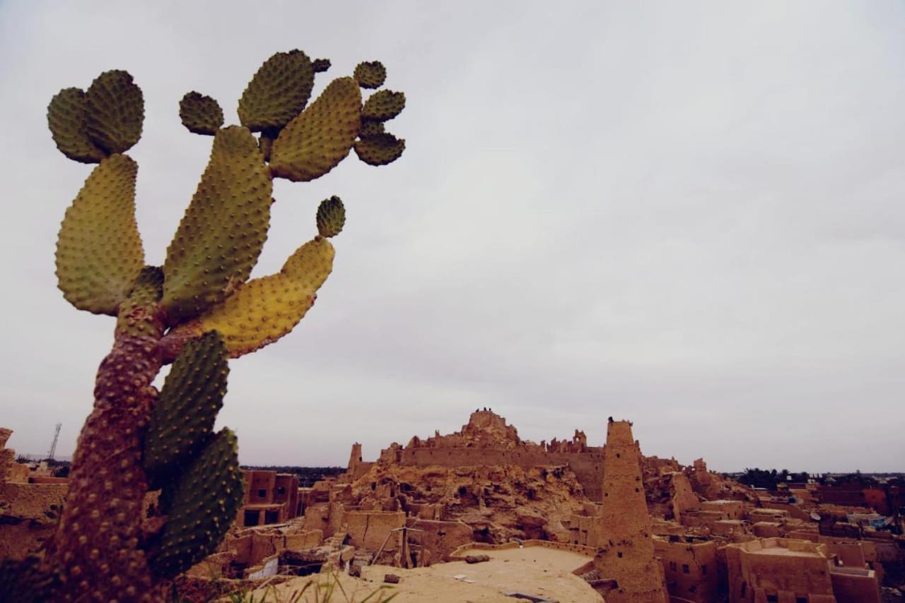 Apartmán Nainshal Siwa Siwa Oasis Exteriér fotografie